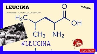 LEUCINA AMINOÁCIDO  ¿Qué es la leucina Leucina 😱😱 [upl. by Sessler]