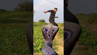 Anaconda Snake in real life P16  shorts snake anaconda bigsnake snakevideo [upl. by Perron]