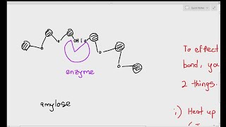 31 An Introduction to enzymes Cambridge AS A Level Biology 9700 [upl. by Isaak227]