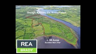 REA Brady  c 80 acres Skeagh Kilmore Online Auction November 21st 2024 [upl. by Ardnasak]