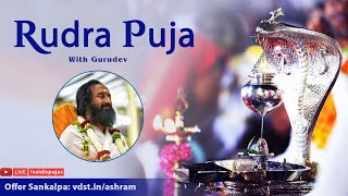 Rudra Puja  18 Nov 2024  Live From VDS Bangalore Ashram [upl. by Little]