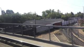 Riding Light Rail Over Stalled BNSF Manifest Freight Train In Sacramento September 13 2016 [upl. by Sue]