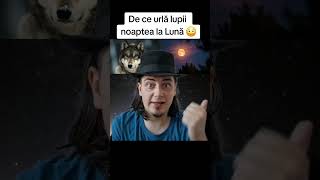 DE CE LUPII URLĂ NOAPTEA LA LUNA 😳 [upl. by Lanaj]