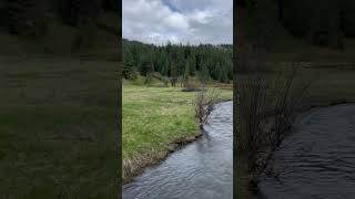 Manastash Creek Yakima River Tributary [upl. by Pammi719]