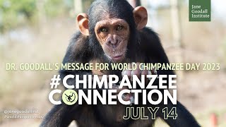 Dr Jane Goodalls Message for World Chimpanzee Day  2023 [upl. by Ayatahs873]