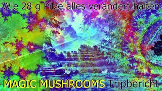 Wie 28 g PILZE alles verändert habenquot 🍄 Magic Mushrooms – Eure Berichte [upl. by Lain12]