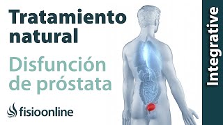 TRATAMIENTO natural de la DISFUNCIÓN de PRÓSTATA y problemas músculoesqueléticos asociados [upl. by Rairb556]