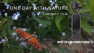 DJI OSMO POCKET 3 ONE DAY WITH NATURE CINEMATIC FILM [upl. by Heinrik]