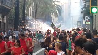 Festa Major Gracia Barcelona augustus 2013 [upl. by Lindsy]