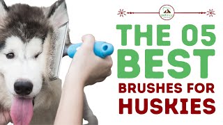 The Best Brushes for Huskies [upl. by Grekin420]