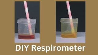 DIY Respirometer  ThinkTac  DIY Science [upl. by Manfred462]