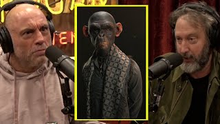 The Story About The Chimp Human Hybrid  Joe Rogan amp Tom Green [upl. by Hitt]