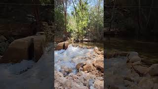 Cederberg Trails vlog travel nature clips [upl. by Joao339]