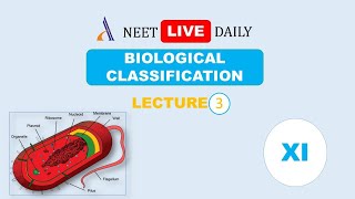 CLASS 11 BIOLOGY CHAPTER 2  BIOLOGICAL CLASSIFICATION  LECTURE 3  NEET LIVE DAILY [upl. by Keeton172]