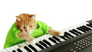 Keyboard Cat Wonderful Pistachios Get Crackin Ad [upl. by Otrebcire894]