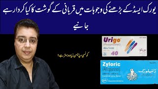 Uric Acid Ka Ilaj  zyloric 300mg tablet uses Urigo Tablet Uses [upl. by Nirok4]