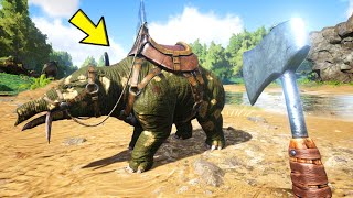 I Started Farming And Tamed A Phiomia  ARK Survival Evolved  Part 25 [upl. by Jolyn]