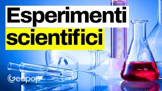 10 esperimenti scientifici fatti e spiegati da noi dalluovo che rimbalza alla soluzione piranha [upl. by Bren]