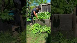 Garden Grocery ASMR [upl. by Adolphe]