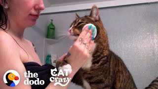 Cat Is VERY Involved In His Moms Daily Routine  The Dodo [upl. by Asaph]