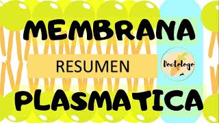 Resumen Membrana plasmática TODO PARA TU EXAMEN [upl. by Ardelle355]