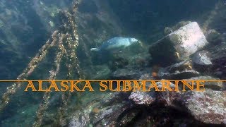 Alaska Submarine tour through Knudsen Cove Marina Ketchikan Alaska [upl. by Eidson702]