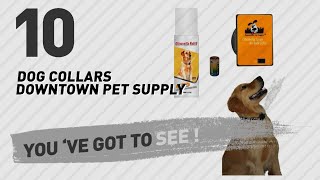 Dog Collars Downtown Pet Supply  Top 10 Most Popular [upl. by Knorring]