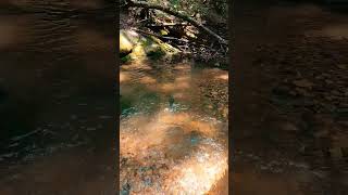 Nature Vibes in Georgia  Smith Creek Falls  Dahlonega waterfall waterfalls [upl. by Pepi]