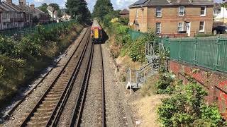 VERY RARE Class 442 South Western Railway passing South Road footbridge [upl. by Eel935]