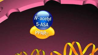 Mechanism of Action of Aminosalicylates [upl. by Airbas]