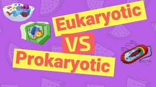 Difference Between Prokaryotic and Eukaryotic Cells [upl. by Fleta]