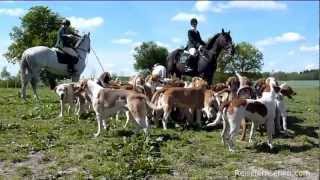 MecklenburgVorpommern Gut Dalwitz  Schleppjagd mit der Mecklenburger Meute by Reisefernsehencom [upl. by Michon]