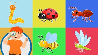 Ce am vazut in iarba  Insectele pentru copii  Desene educative [upl. by Jahdiel]