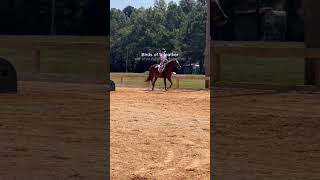 Dressage pony in training lol horse equestrain [upl. by Anaitit]