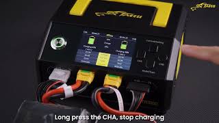 How to Charge Your Batteries With TA1000 [upl. by Rambert]