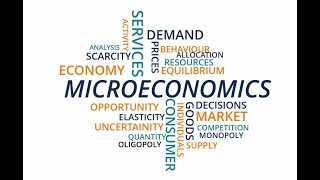 Microeconomics 2 Week 11 General Equilibrium  Pure Exchange Economy 1 [upl. by Rehpotsirc]