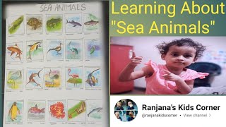 Sea Animals 🐠 learning by stickers pasting 😺 yt video kids education [upl. by Ainnos441]