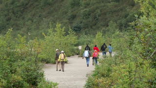 Mendenhall Glacier amp Gardens  Shore Excursion  NCL [upl. by Isador]