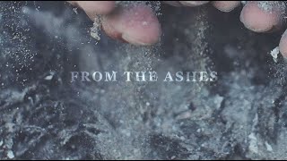 RED  From The Ashes Official Lyric Video [upl. by Ilat428]