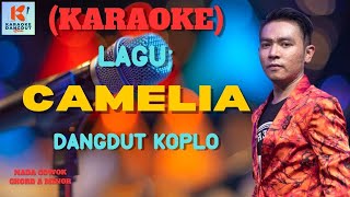 Camelia Karaoke  Karaoke Dangdut Official  Cover PA 600 [upl. by Akinihs]