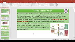 Cytodifferentiation [upl. by Aciret]