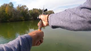 Lipless crankbait gets slammed [upl. by Liscomb700]