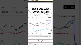 Large speculator selling natgat naturalgas natgas naturalgastrading naturalgasanalysis [upl. by Kleon102]