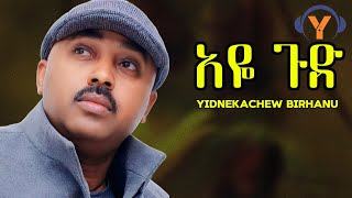 Yidnekachew BirhanuAye gudNew Amharic Musicይድነቃቸው ብርሃኑአዬ ጉድOfficial Music [upl. by Niels]