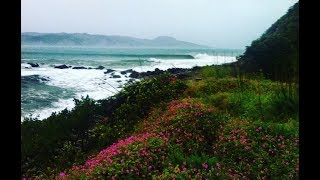 Point Annihilation Surf  Mahia New Zealand [upl. by Aserej]