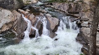 Meigs Creek Tr  Roundtop Tr  GSMNP Day 1 [upl. by Adnomal217]