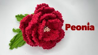 Peonias [upl. by Nitnilc]