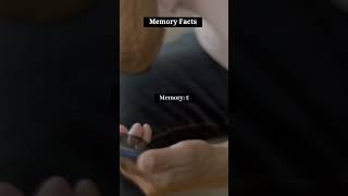 Unraveling Memory Fascinating Facts You Didnt Know [upl. by Adamis]