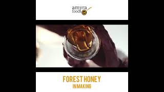 Buy Pure Himalayan Wild Forest Raw Honey from Amyra Foods [upl. by Kcirdnekal326]