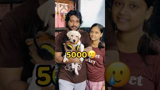 Pogo Ne Ye Kya Kiya😡😡 shorts vlog minivlog puppy headphones [upl. by Mirna]